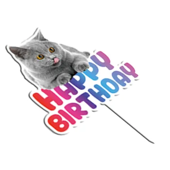 Noul Câine Drăguț Pisica Happy Birthday Cake Topper Acrilice Animale de companie Tort Fân pentru Animale de companie Petrecere Decoratiuni Tort 5